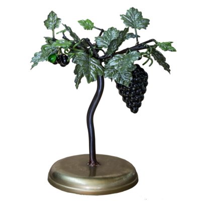 Parra uva negra