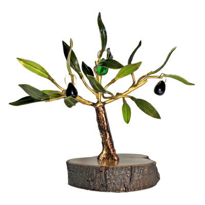 Olivo pequeño F