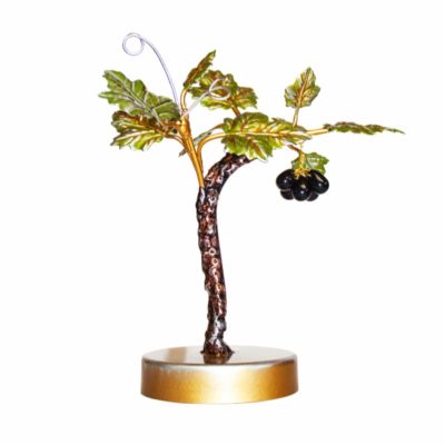 Parra mini uvas negras