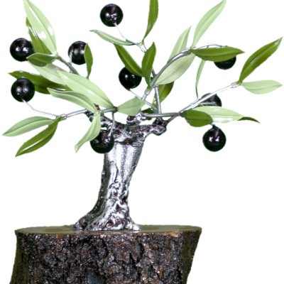Olivo con aceitunas