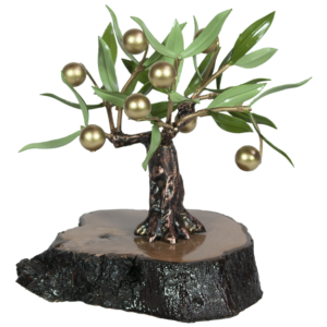 olivo decorativo