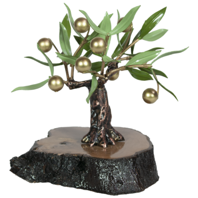olivo decorativo