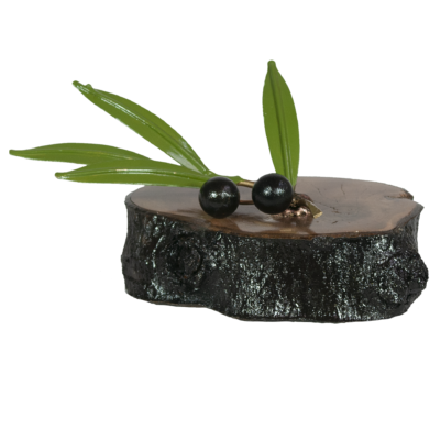 Rama de oliva