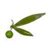 broche 04[7925] 2 hojas 1aceituna