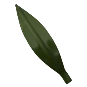 Pin Hoja de Olivo