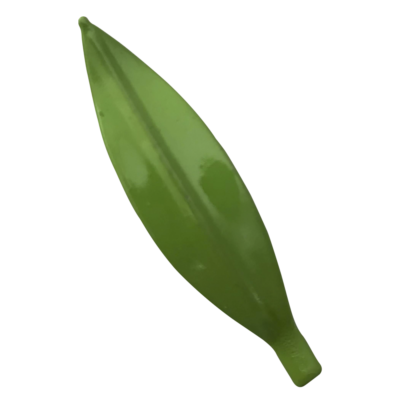 Pin hoja de Olivo