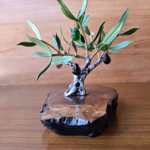 Olivo Pequeño con base de madera