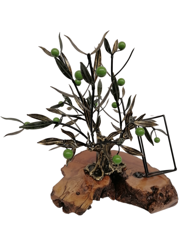 Olivo Expositor grande con Base de Madera de Olivo - Imagen 9
