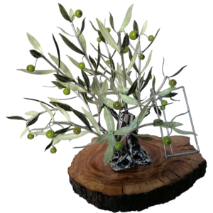 Olivo Expositor de Aceite Premium