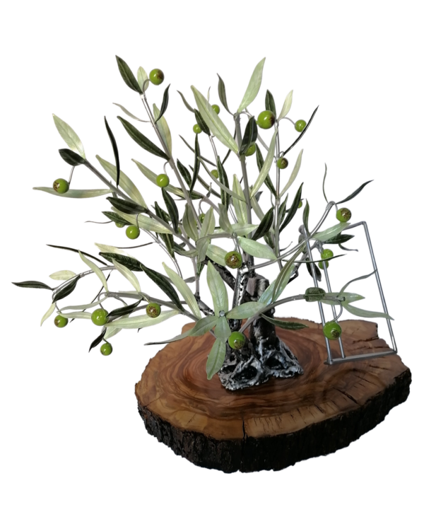 Olivo Expositor de Aceite Premium - Imagen 2