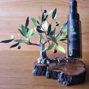 Olivo Expositor pequeño en Base de Madera