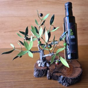 Olivo Expositor pequeño en Base de Madera