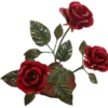 RAMO-ROSAS-1-1024×768-removebg-preview