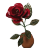 ROSA-1-766×1024-removebg-preview