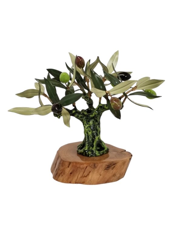 OLIVO MINI PICUAL
