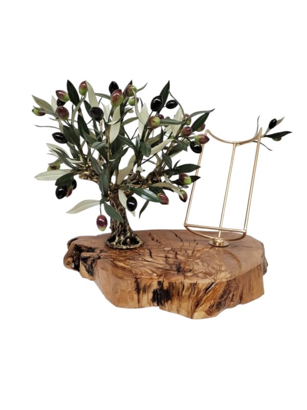 Olivo Expositor grande con Base de Madera de Olivo