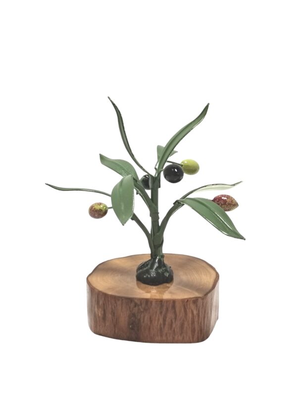 OLIVO ESENCIA