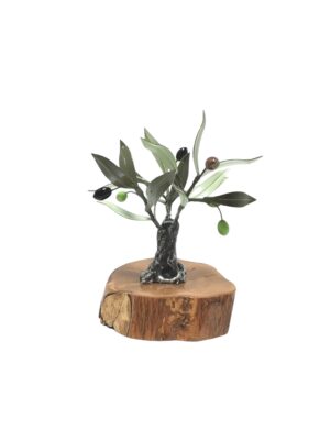 Olivo miniatura
