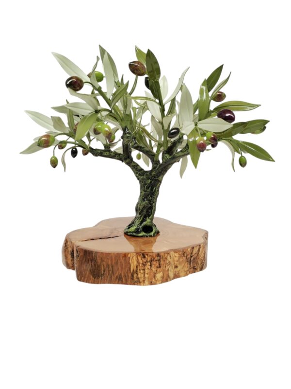Olivo mediano con faldas