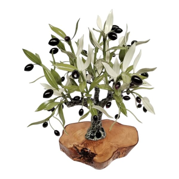 Olivo mediano con faldas